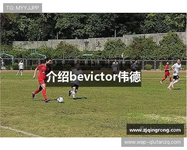 伟德bevictor网页用户体验优化方案与常见问题解答