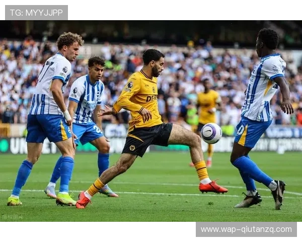 利用6686足球官网的丰富内容资源,提升你的足球知识和比赛理解能力 利用6686足球官网的丰富内容资源,提升你的足球知识和比赛理解能力