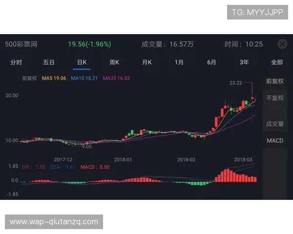 鸿博体育行业发展趋势与未来展望，洞察体育博彩市场的最新动向